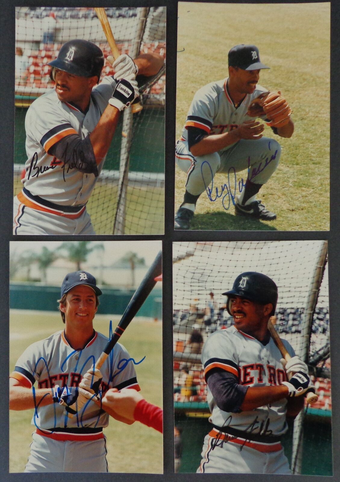 Lot of (12) Autographed 4x6 Snap Shot Photos Detroit Tigers 177115