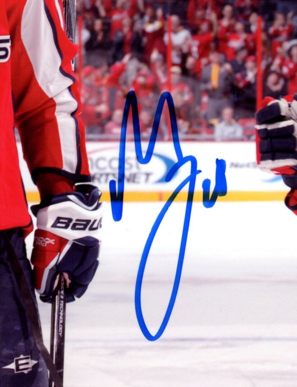 Matt Bradley Washington Capitals Signed/Autographed 8x10 Photo 153330