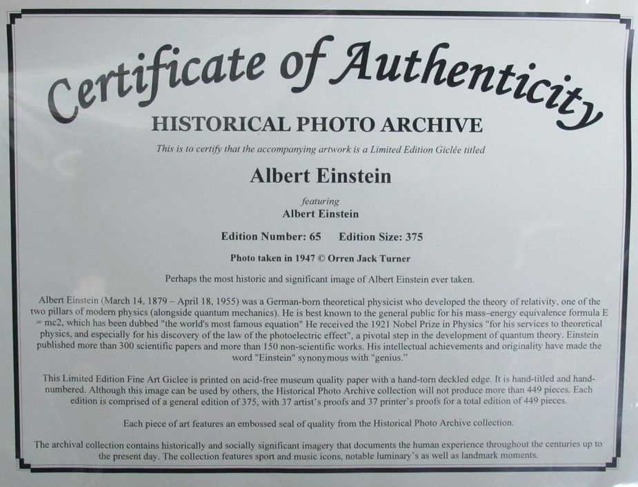 Albert Einstein Fine Art Lithographic Limited Numbered Print Framed 187196