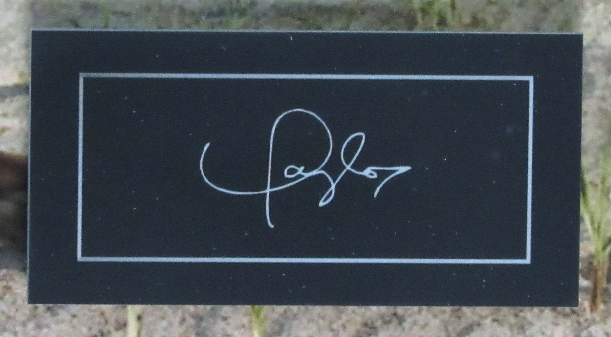 Taylor Swift 1989 CD/Case with Photo and Laser Engrved Card Framed 189444