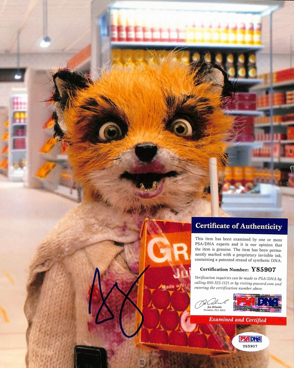Jason Schwartzman Signed/Auto 8x10 Photo "Fantastic Mr. Fox" PSA/DNA 193745