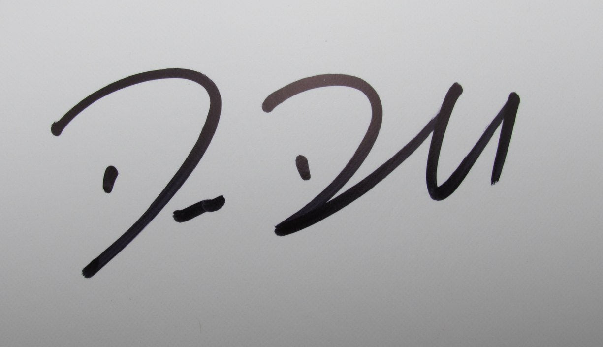 Big Dom DiSandro Signed/Auto Super Bowl LIX Logo Football Eagles Beckett 193562