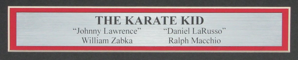 KARATE KID William Zabka/Ralph Macchio Signed/Auto 16x20 Photo Framed JSA 161187
