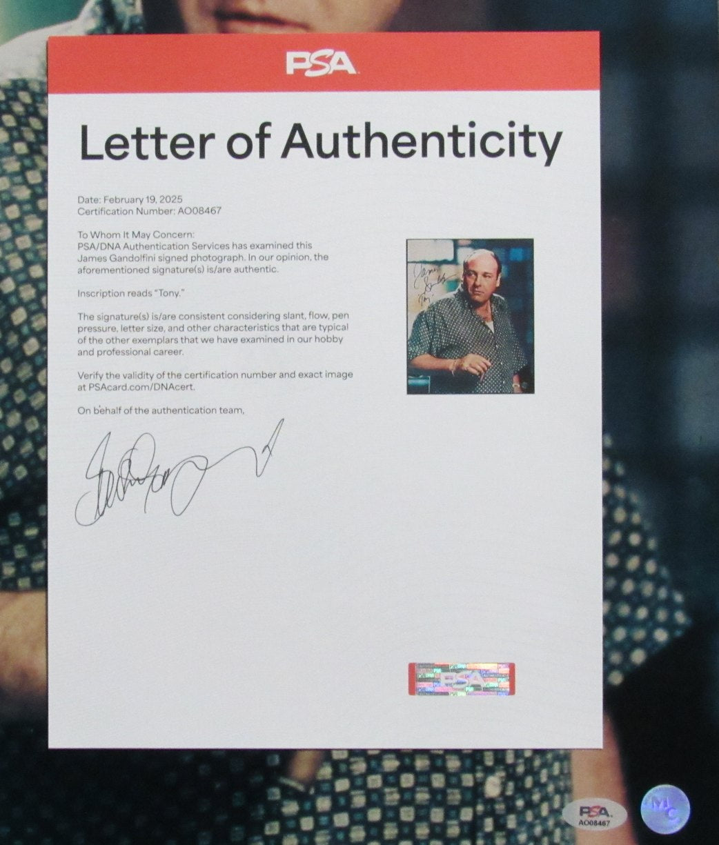 James Gandolfini Signed/Inscribed "Tony" 16x20 Photo "Sopranos" PSA/DNA 192802