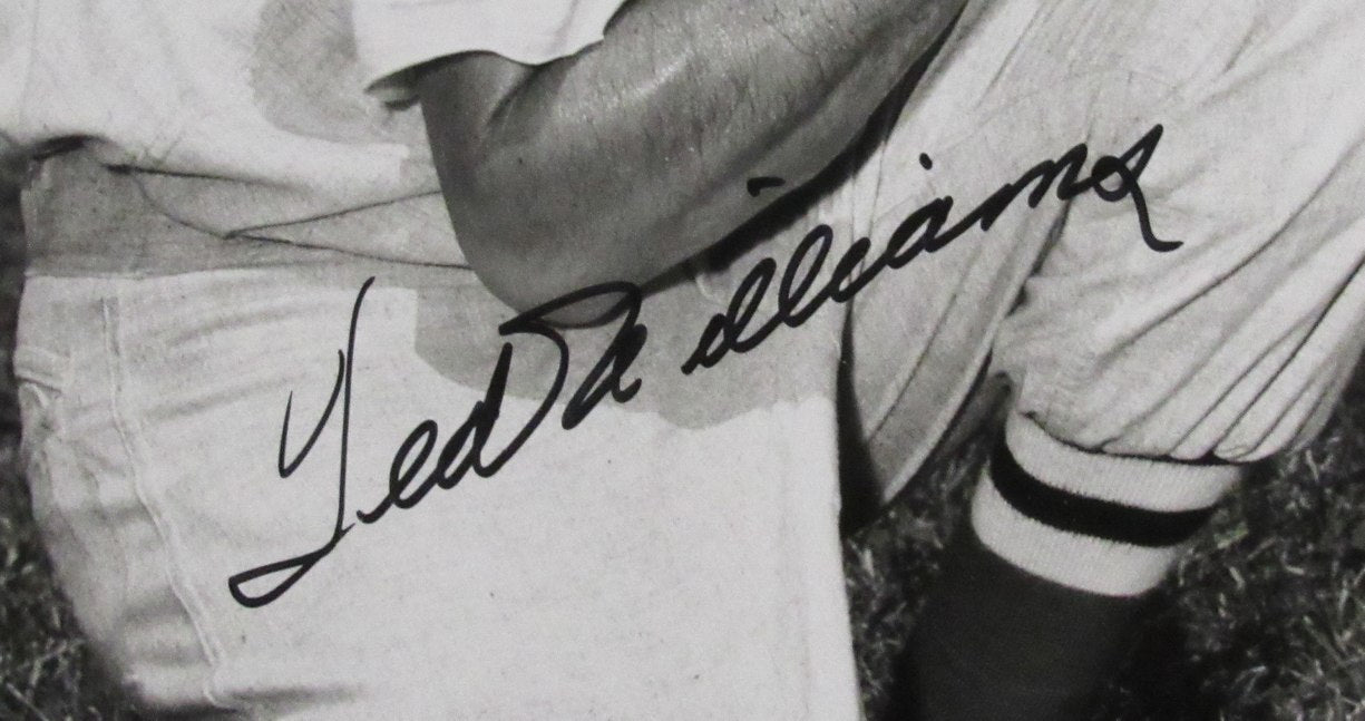 Ted Williams HOF Signed/Autographed 16x20 Photo Boston Red Sox PSA/DNA 192807