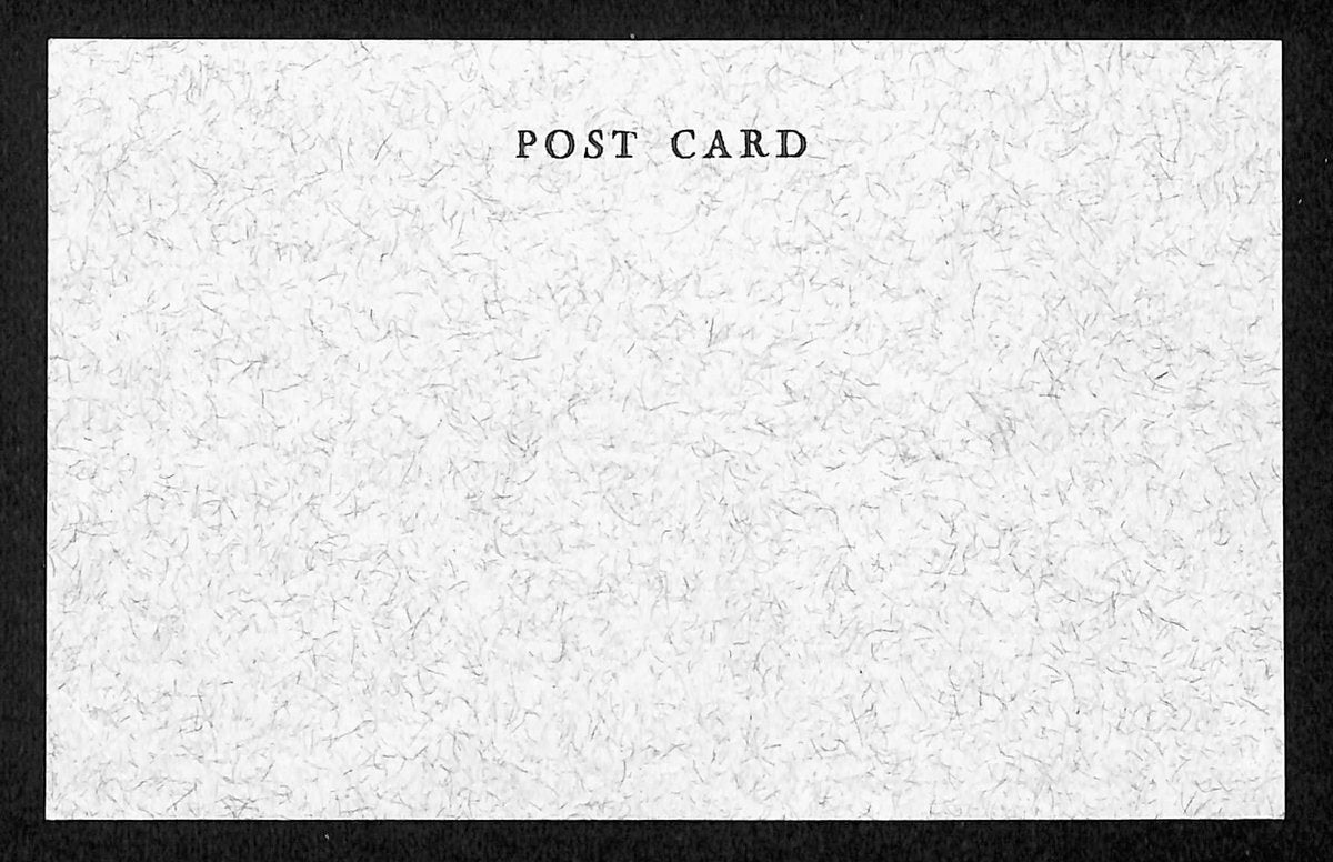 Ashley Mantagu Signed/Auto Post Card British-American Anthropologist 195480