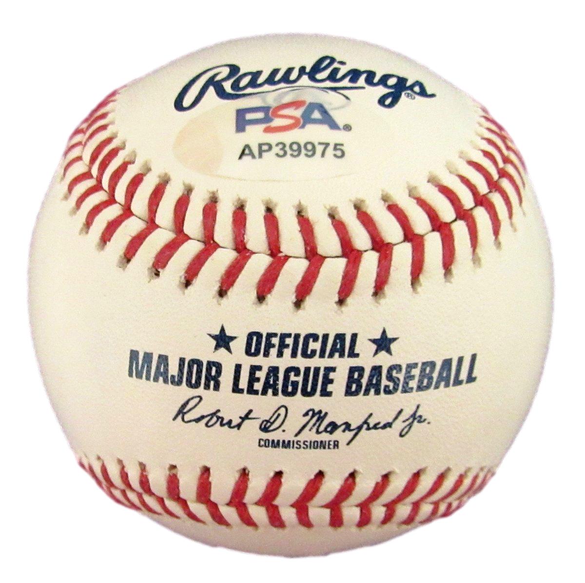 Aaron Judge Signed/Autographed OML Baseball New York Yankees PSA/DNA 196761