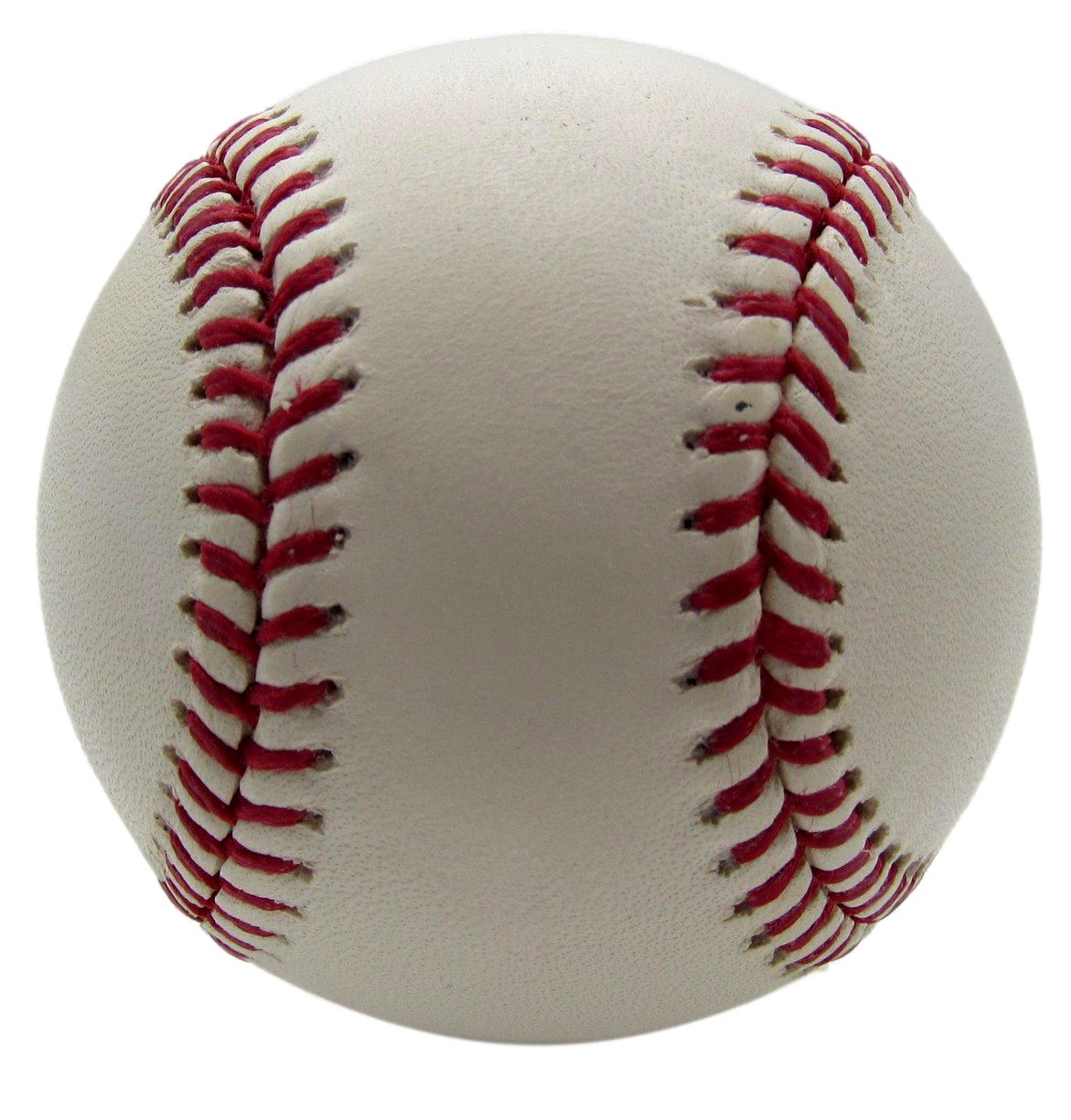 Adley Rutschman Signed/Autographed OML Baseball Orioles PSA/DNA 203526