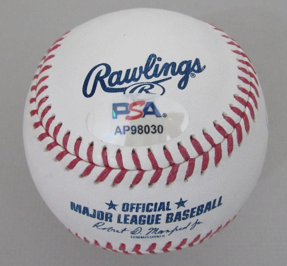 Steven Tyler Aerosmith Signed/Autographed OML Baseball PSA/DNA 203542