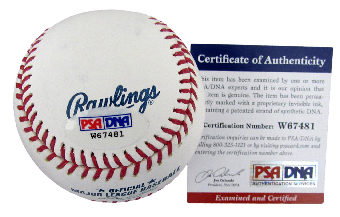 Mike Trout Signed/Autographed OML Baseball Los Angeles Angels PSA/DNA 210210