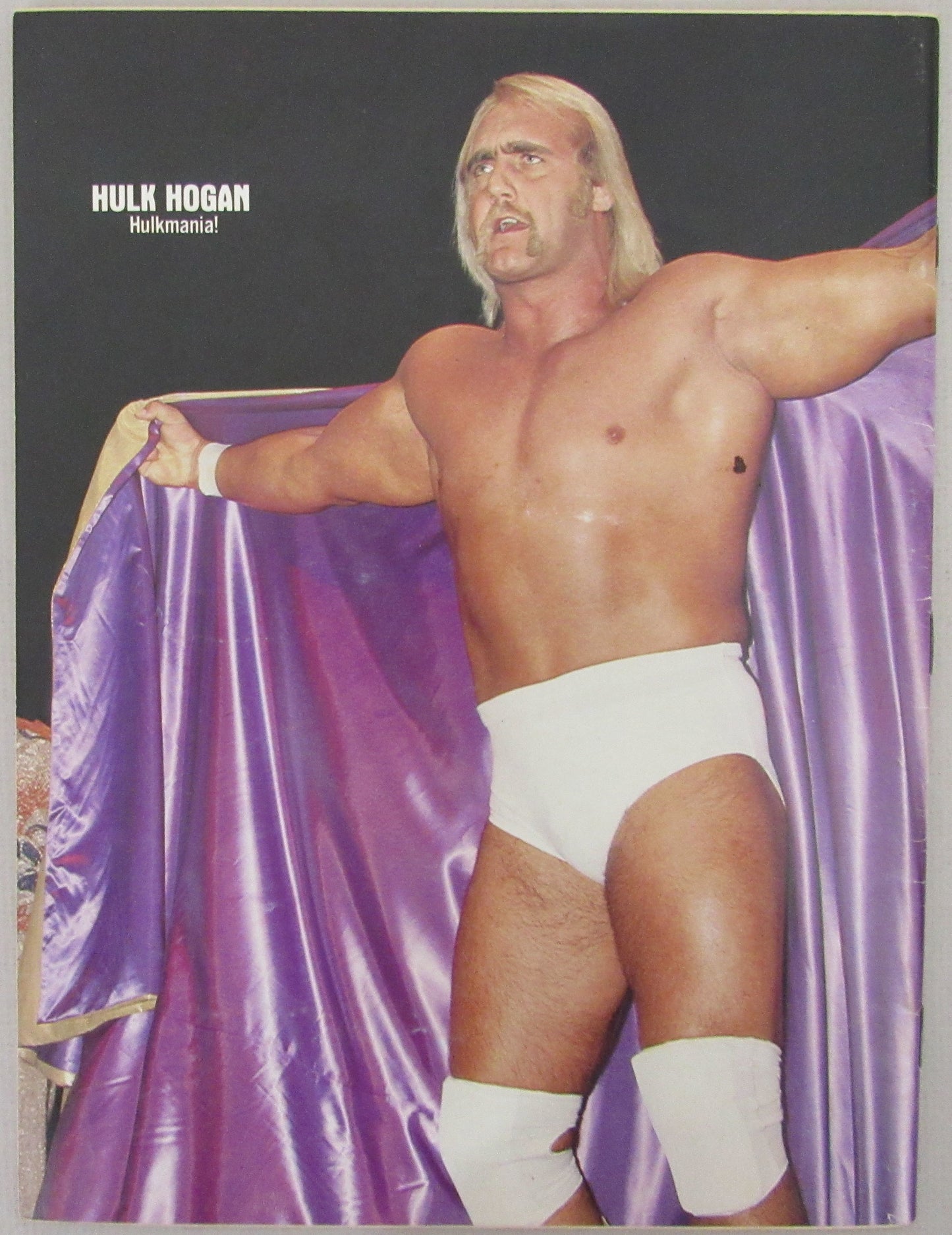 Wrestling Album #5 Magazine Hulk Hogan on Cover NOLABEL 210257