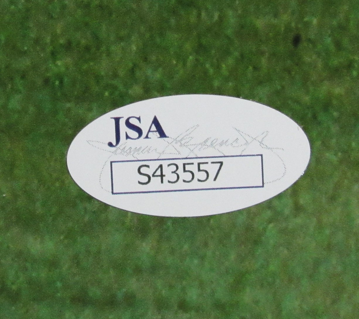 Rory McIlroy Signed/Autographed 16x20 Photo PGA Champion JSA 212546