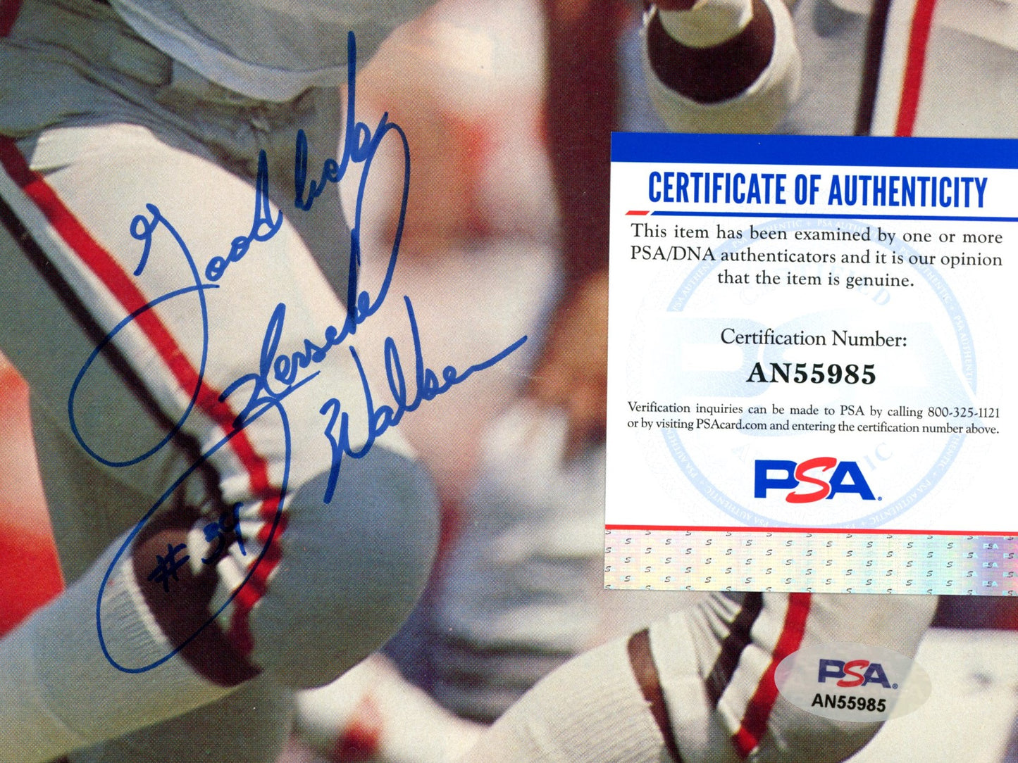 Tedy Bruschi Signed/Auto 8x10 Magazine Photo Patriots PSA/DNA 188123