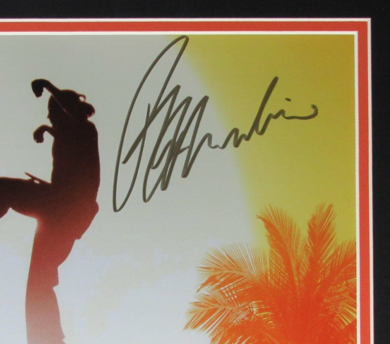 Cobra Kai William Zabka/Ralph Macchio Signed/Auto 16x20 Print Framed JSA 164941