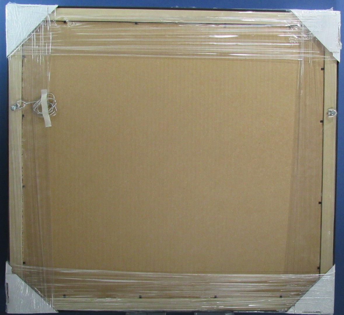 Phillies Horizontal 16"x20" Photo DIY NEW Frame Kit w/ Red/White Border 188686
