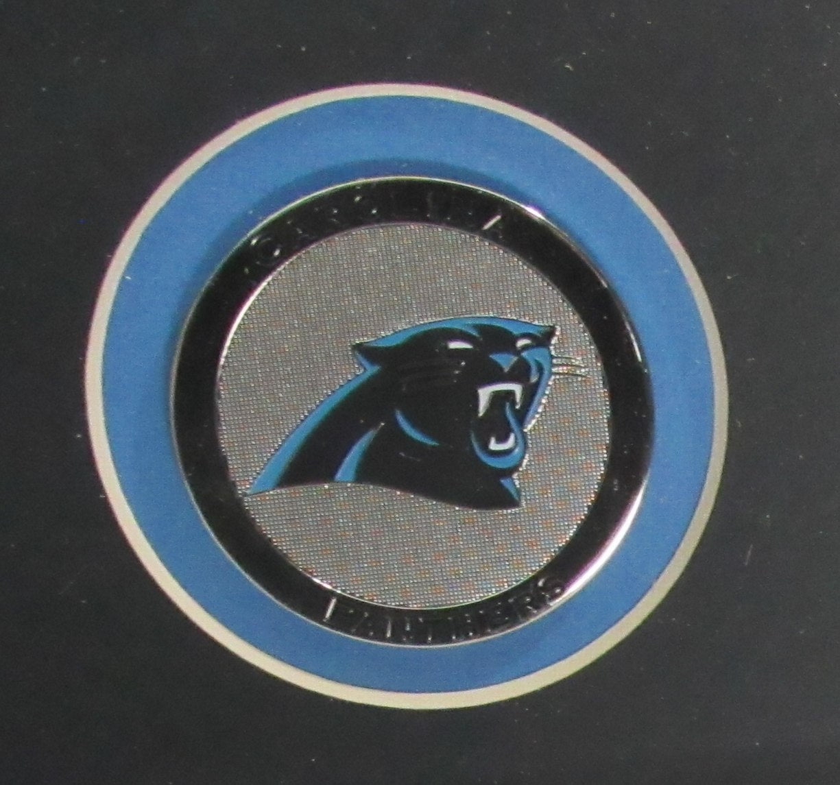 Carolina Panthers Vertical 16"x20" Photo DIY NEW Frame Kit 188692