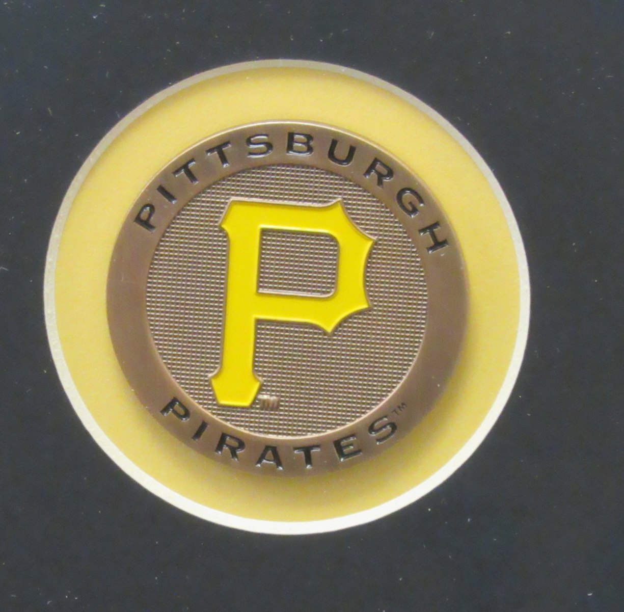 Pittsburgh Pirates Horizontal 16"x20" Photo DIY NEW Frame Kit 188681
