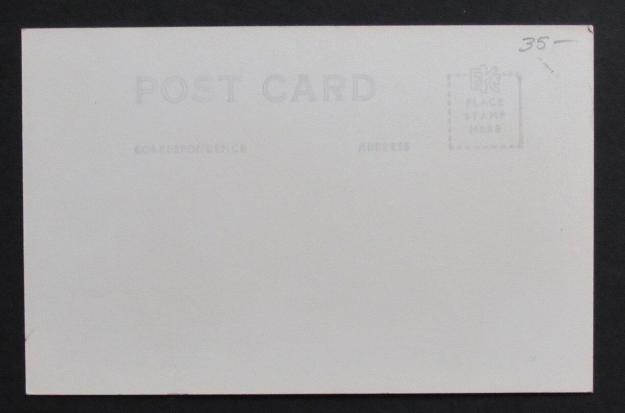 Vintage Surfing Waikiki Theme B/W Photo Postcard