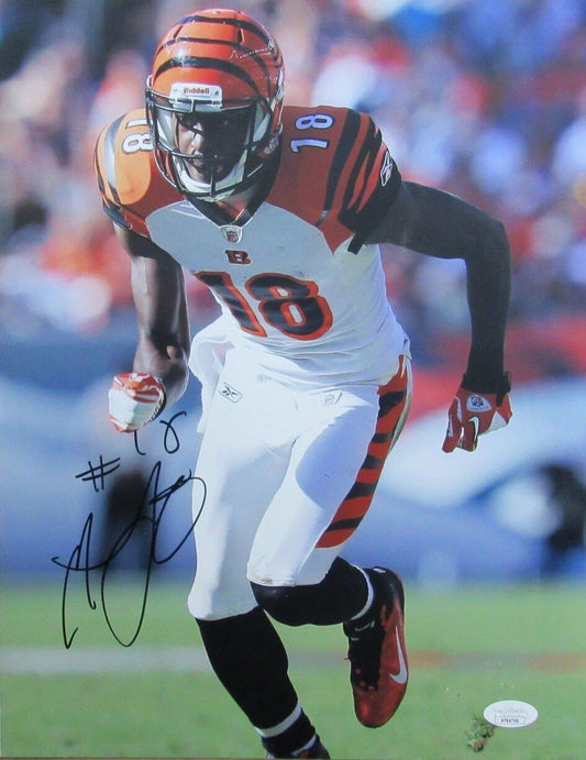 A.J. Green Autographed 11x14 Photo Cincinnati Bengals JSA
