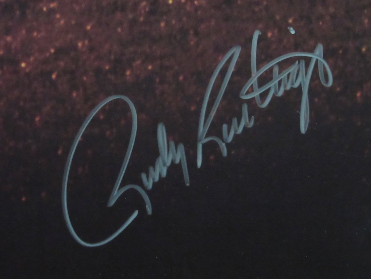 Rudy Ruettiger Autographed Full Size "Rudy" Movie Poster Framed