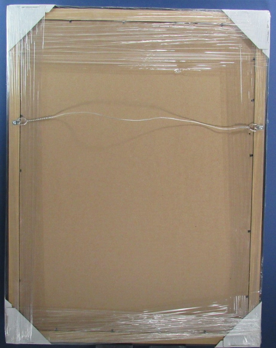 Carolina Panthers Vertical 16"x20" Photo DIY NEW Frame Kit 188692