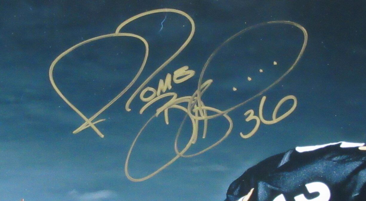Jerome Bettis HOF Autographed 20x24 Photo Steelers Framed Steiner 180805
