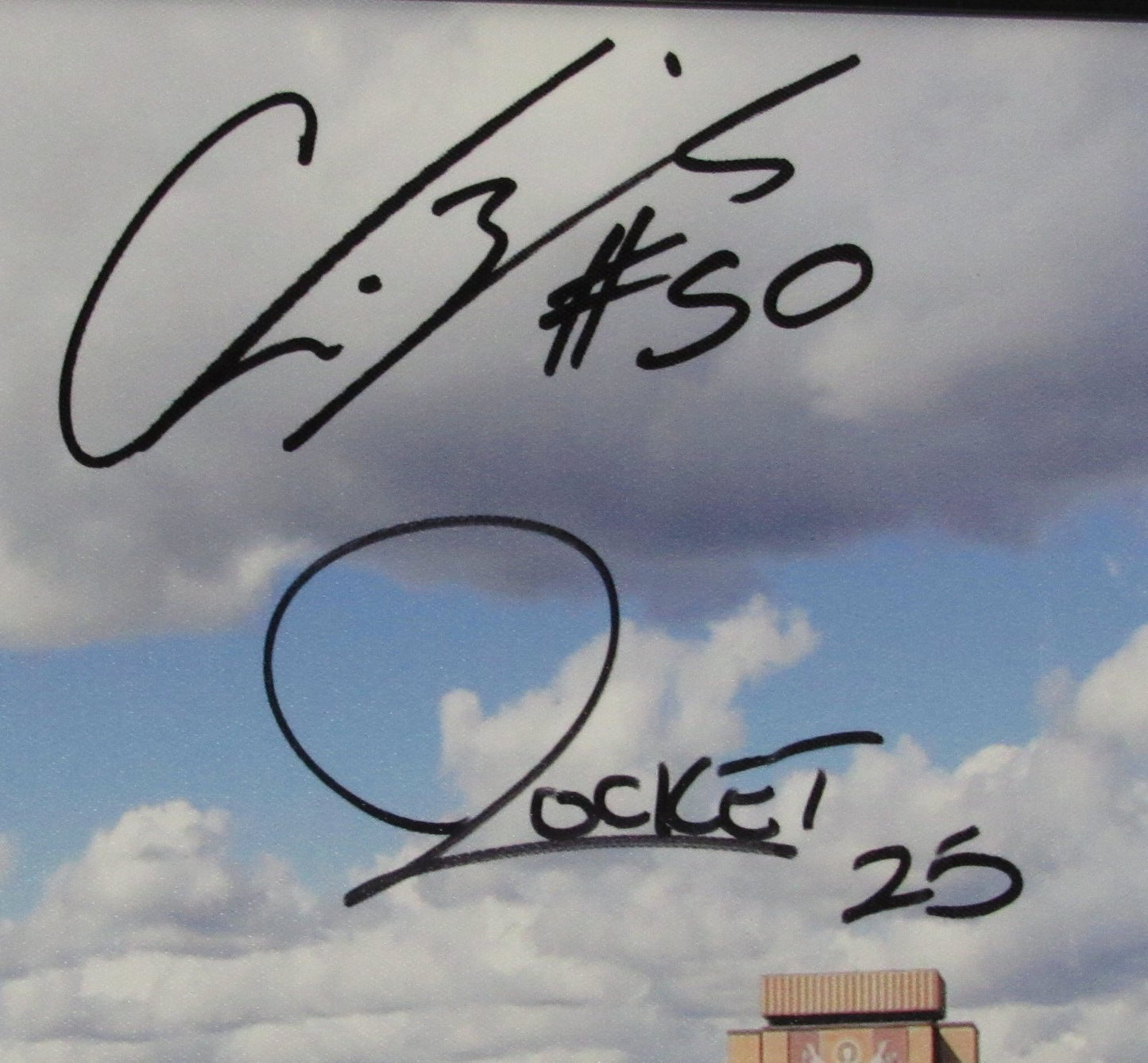 Notre Dame Stadium Multi-Signed 27x21 Canvas Print Framed JSA 145500