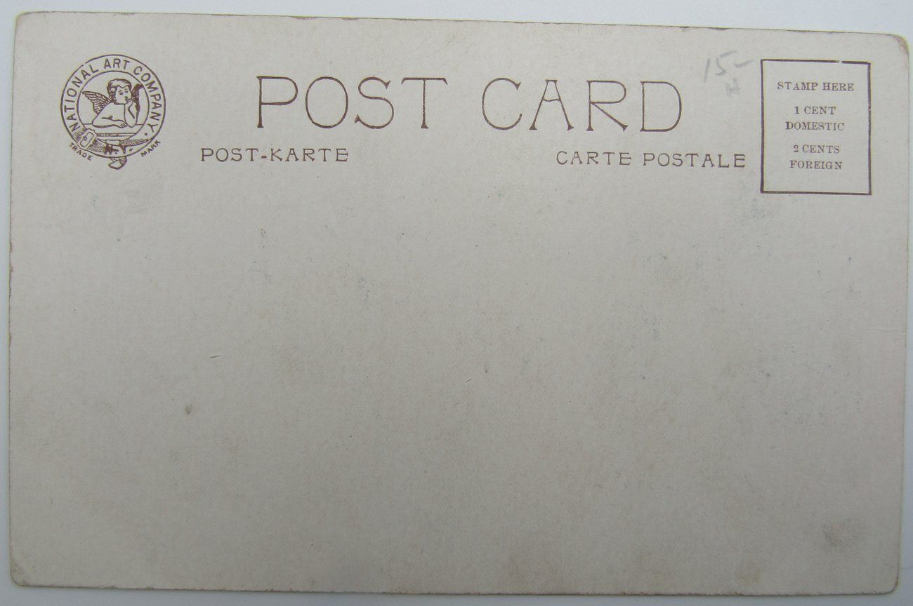 Archie Gunn, National Art No. 148 Unused Postcard, College Girl Waving Pennant