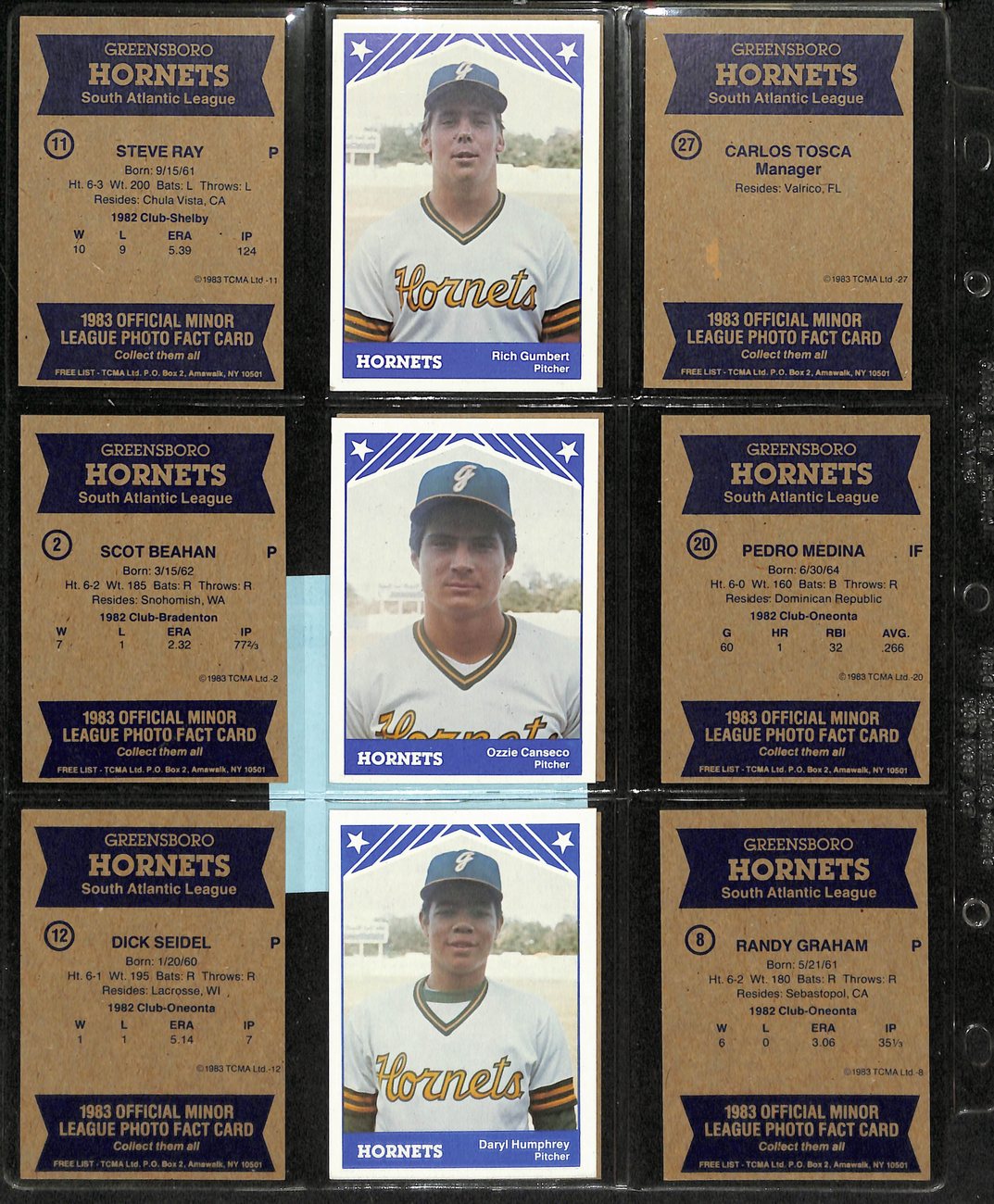 1983 TCMA Baseball Greensboro Hornets Complete Team Set (30/30) Cards 189378