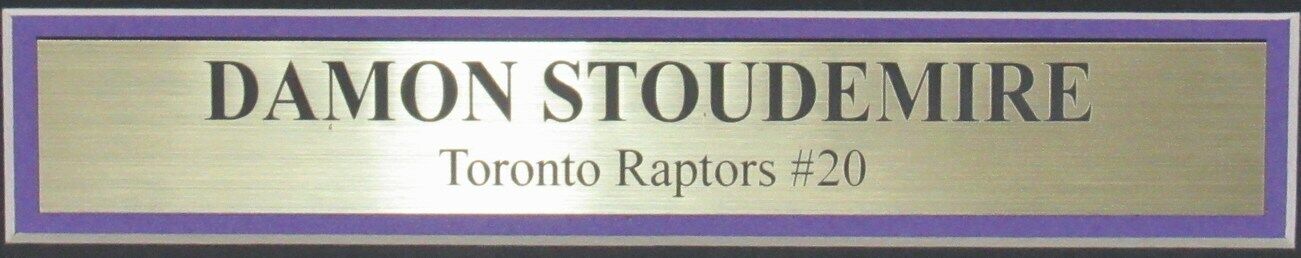 Damon Stoudamire Toronto Raptors Signed/Autographed 8x10 Photo Framed JSA 161514