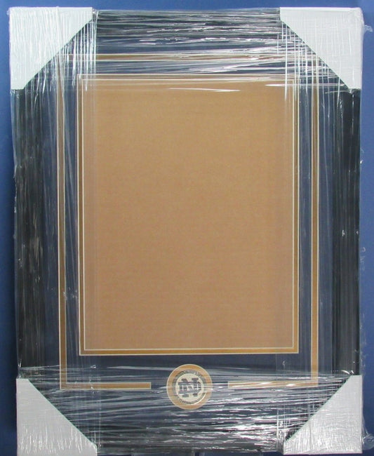 Notre Dame Vertical 11"x14" Photo DIY NEW Frame Kit 188695