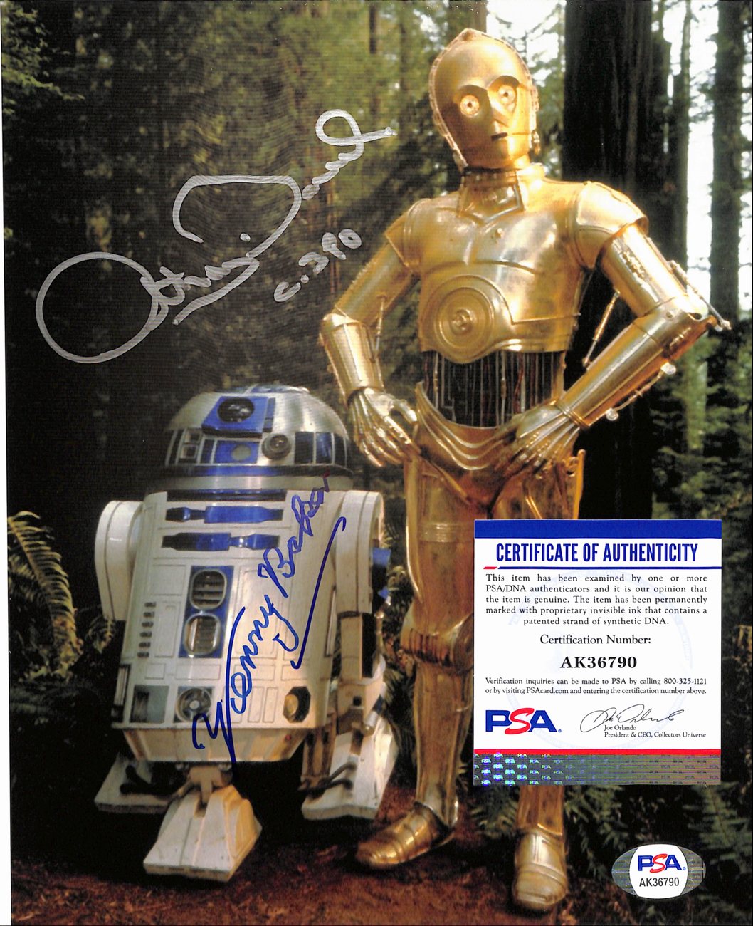 Anthony Daniels "C-3PO"/Kenny Baker "R2D2" Autographed 8x10 Photo PSA/DNA