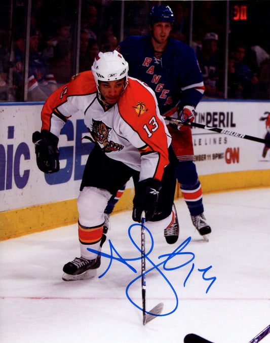 Anthony Stewart Florida Panthers Signed/Autographed 8x10 Photo 153089