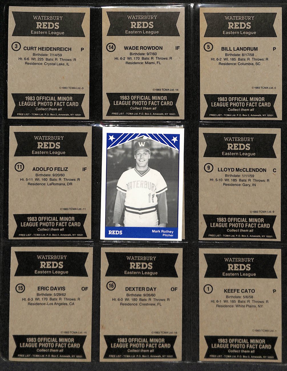 1983 TCMA Baseball Waterbury Reds Complete Team Set (19/19) Cards 189367