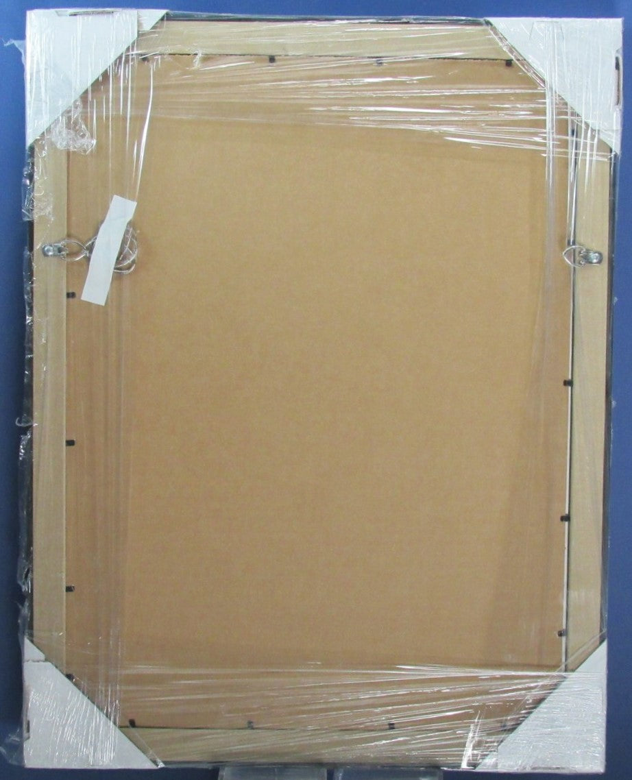 Notre Dame Vertical 11"x14" Photo DIY NEW Frame Kit 188695