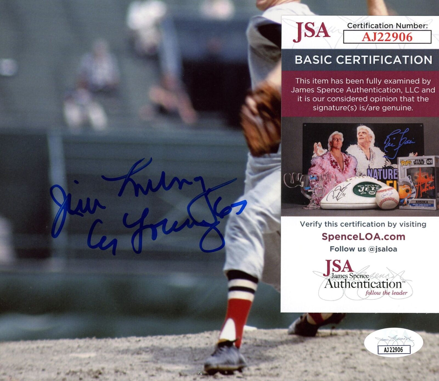 Jim Lonborg Autographed 8x10 Photo Boston Red Sox JSA 177843