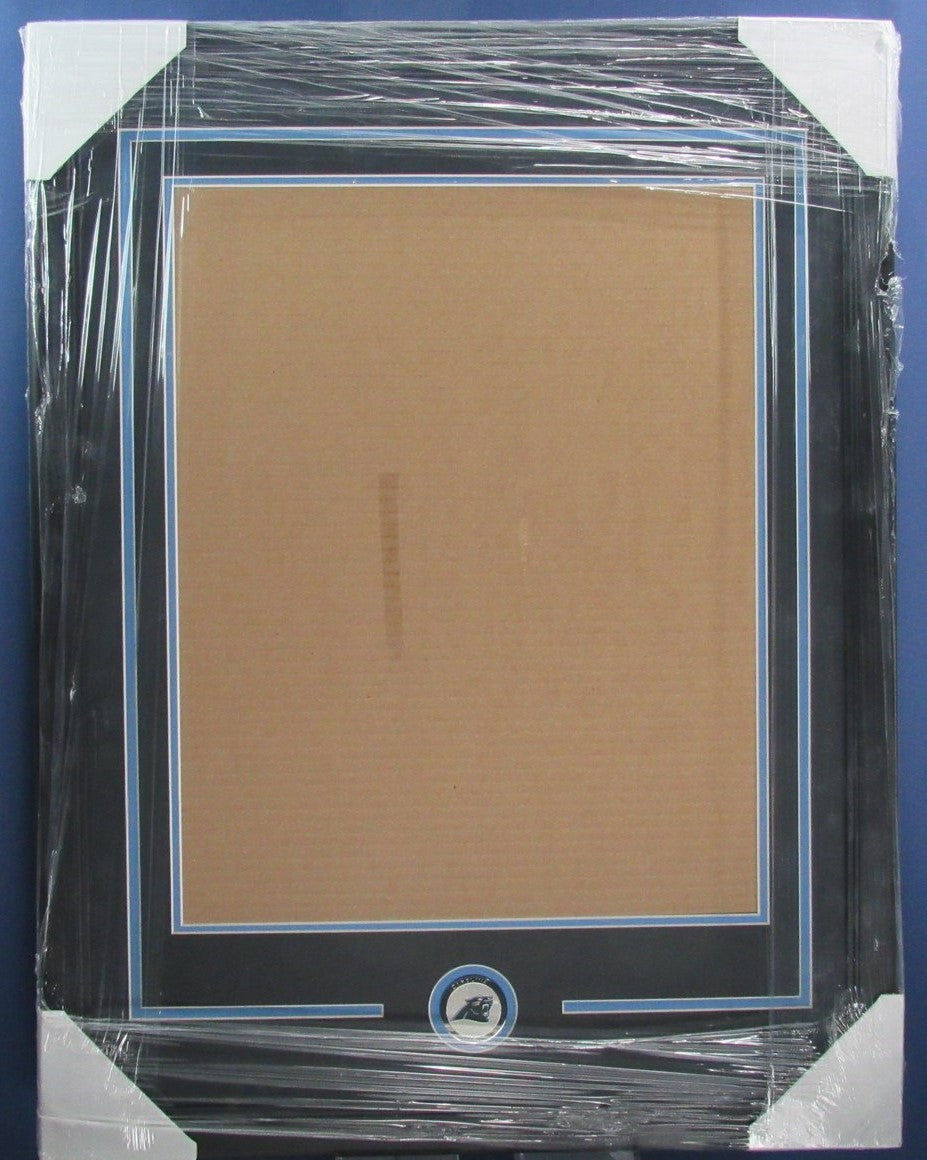 Carolina Panthers Vertical 16"x20" Photo DIY NEW Frame Kit 188692
