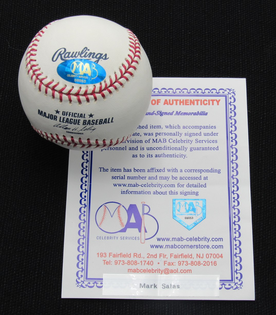 Mark Salas Signed/Auto Yankees 100th OML Baseball MAB 187056