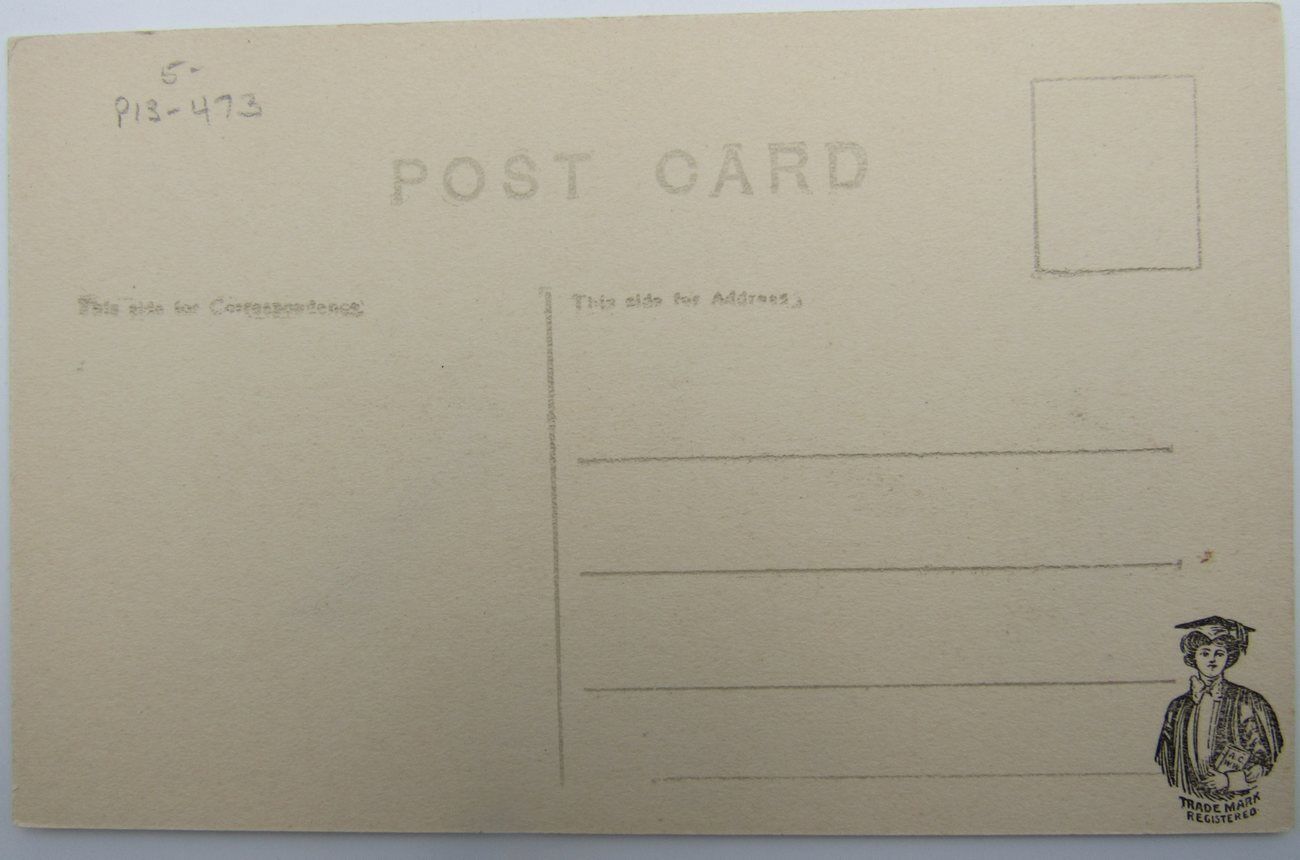 Archie Gunn, Bergman 1913 Unused Postcard, Woman Holding a Pennant