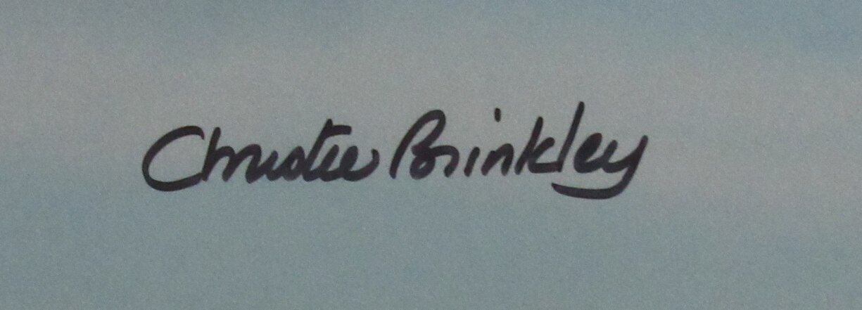 Christie Brinkley Autographed 16x20 Photo Beckett