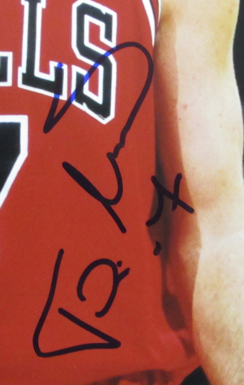 Toni Kukoc HOF Autographed 11x14 Photo Chicago Bulls JSA