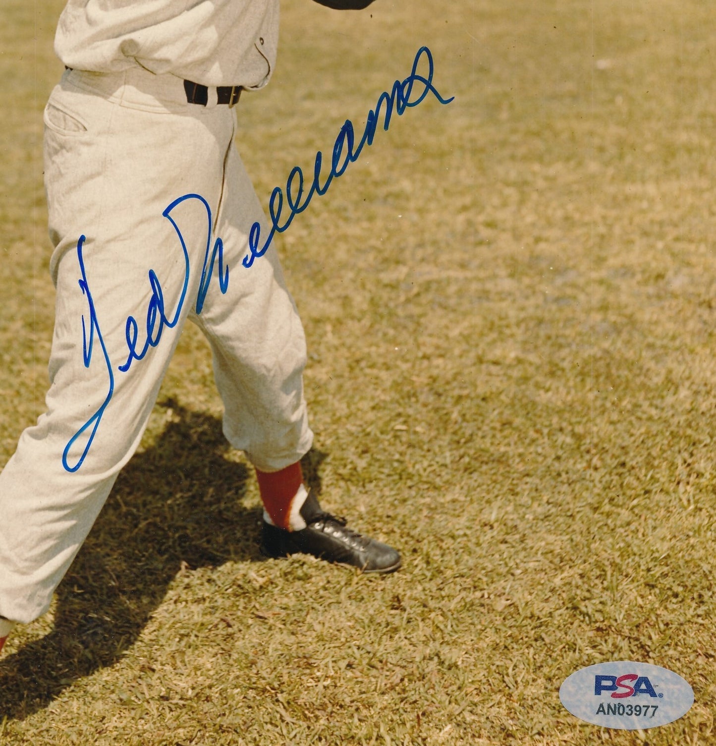 Ted Williams HOF Signed/Auto 8x10 Photo Boston Red Sox PSA/DNA 191863