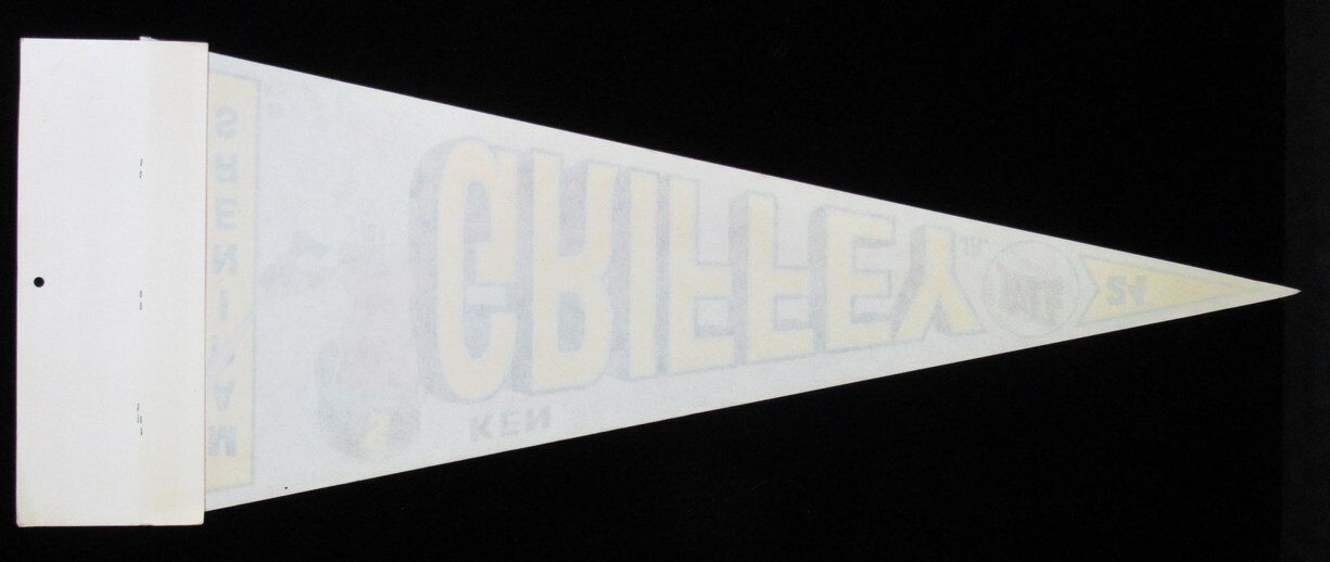 1989 Ken Griffey Jr. Seattle Mariners Baseball 29x12 Felt NEW MLB Pennant