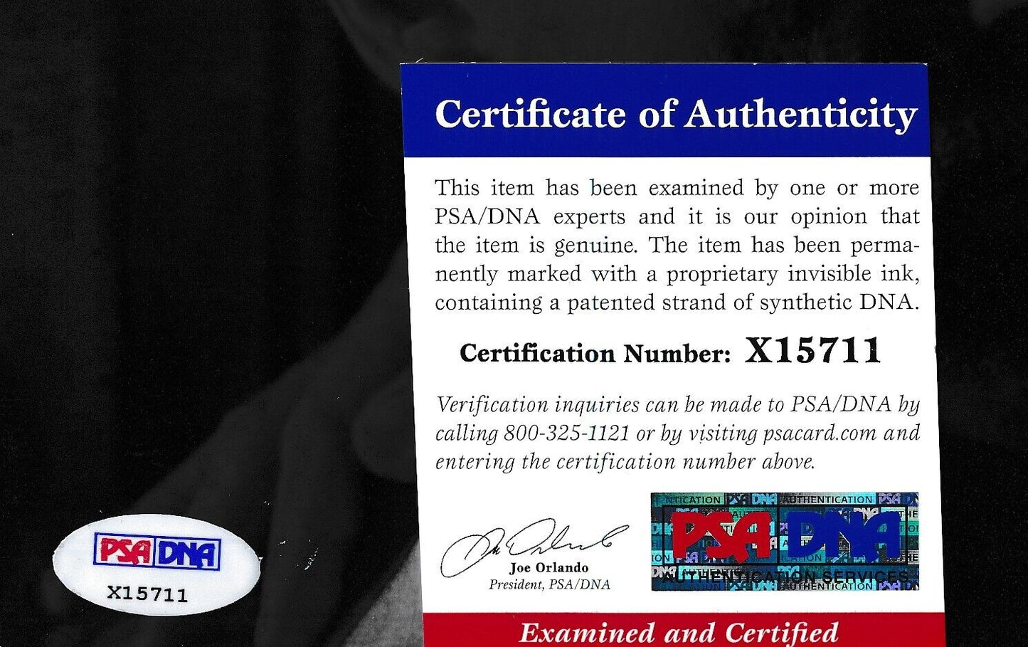 Ray Liotta Autographed 8x10 Photo "Goodfellas" PSA/DNA