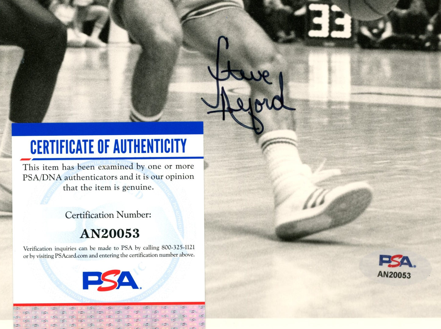 Steve Alford Signed/Auto 8x10 Photo Indiana University PSA/DNA 188070