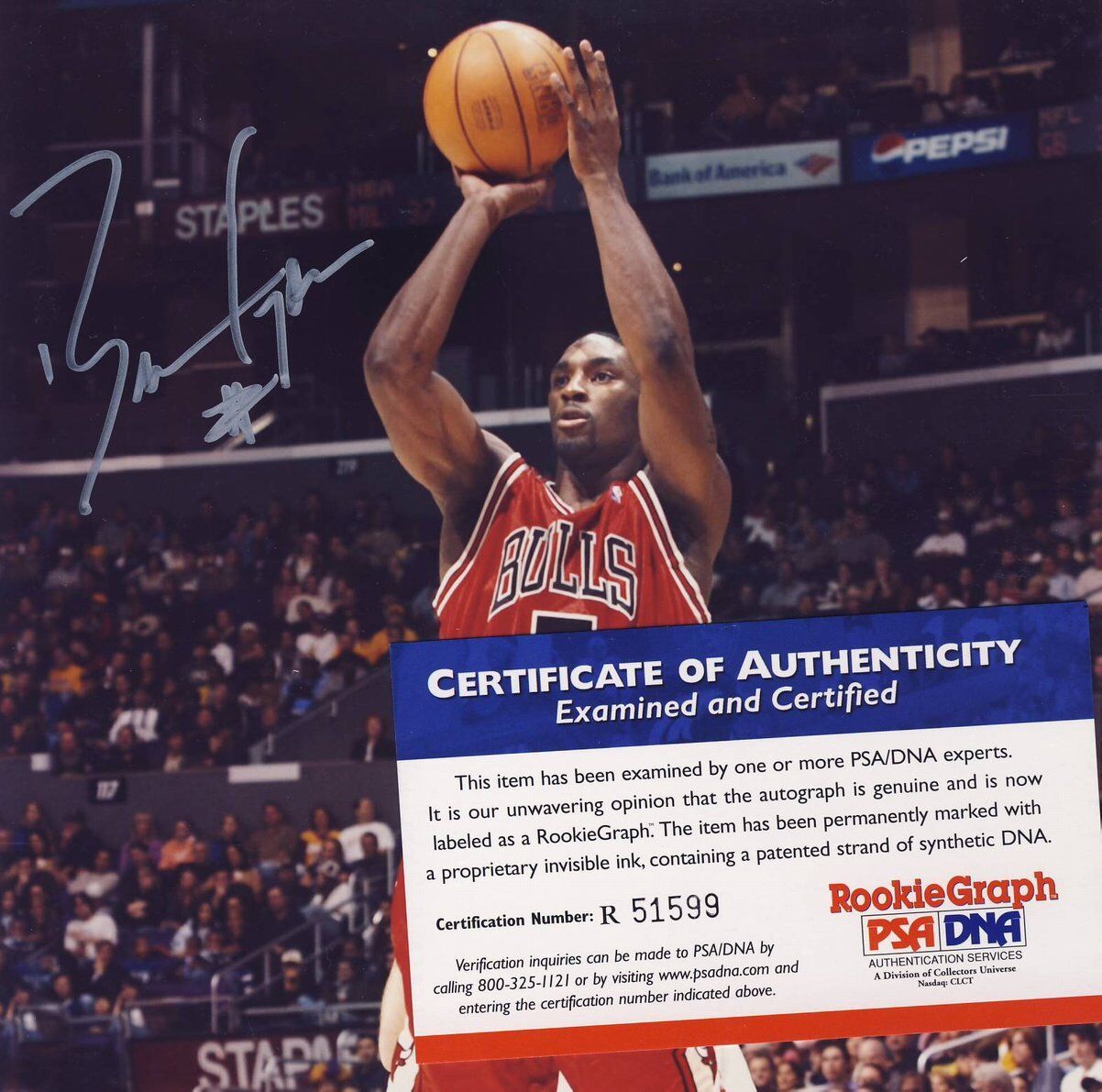 Ben Gordon Chicago Bulls Autographed/Signed 8x10 Color Photo PSA/DNA 136821