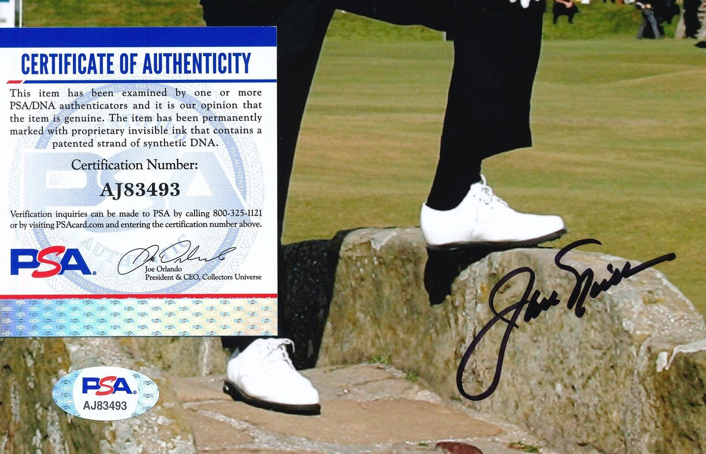 Jack Nicklaus Autographed 8x10 Photo PGA Champion PSA/DNA 179568