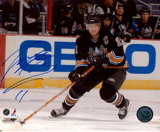 Jeff Halpern Washington Capitals Signed/Autographed 8x10 Photo 153338