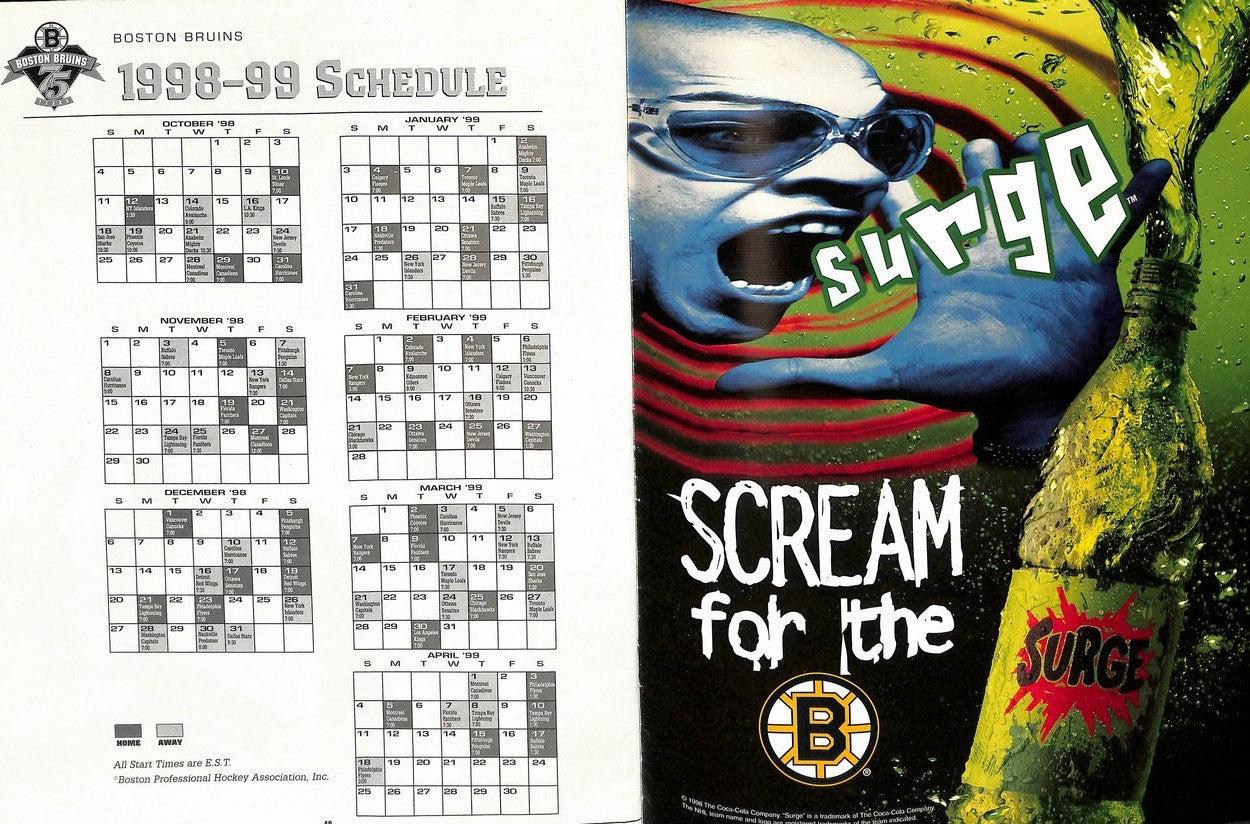 1990-1991 Boston Bruins Yearbook 179636