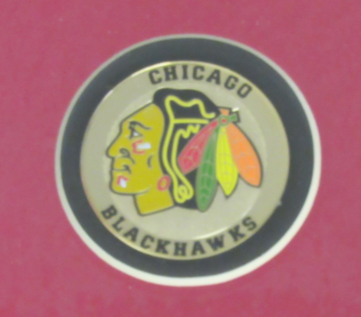 Chicago Black Hawks Horizontal 16"x20" Photo DIY NEW Frame Kit 188683